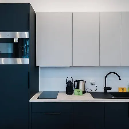Lumineux T2, Climatise En Centre Ville Ail Лион